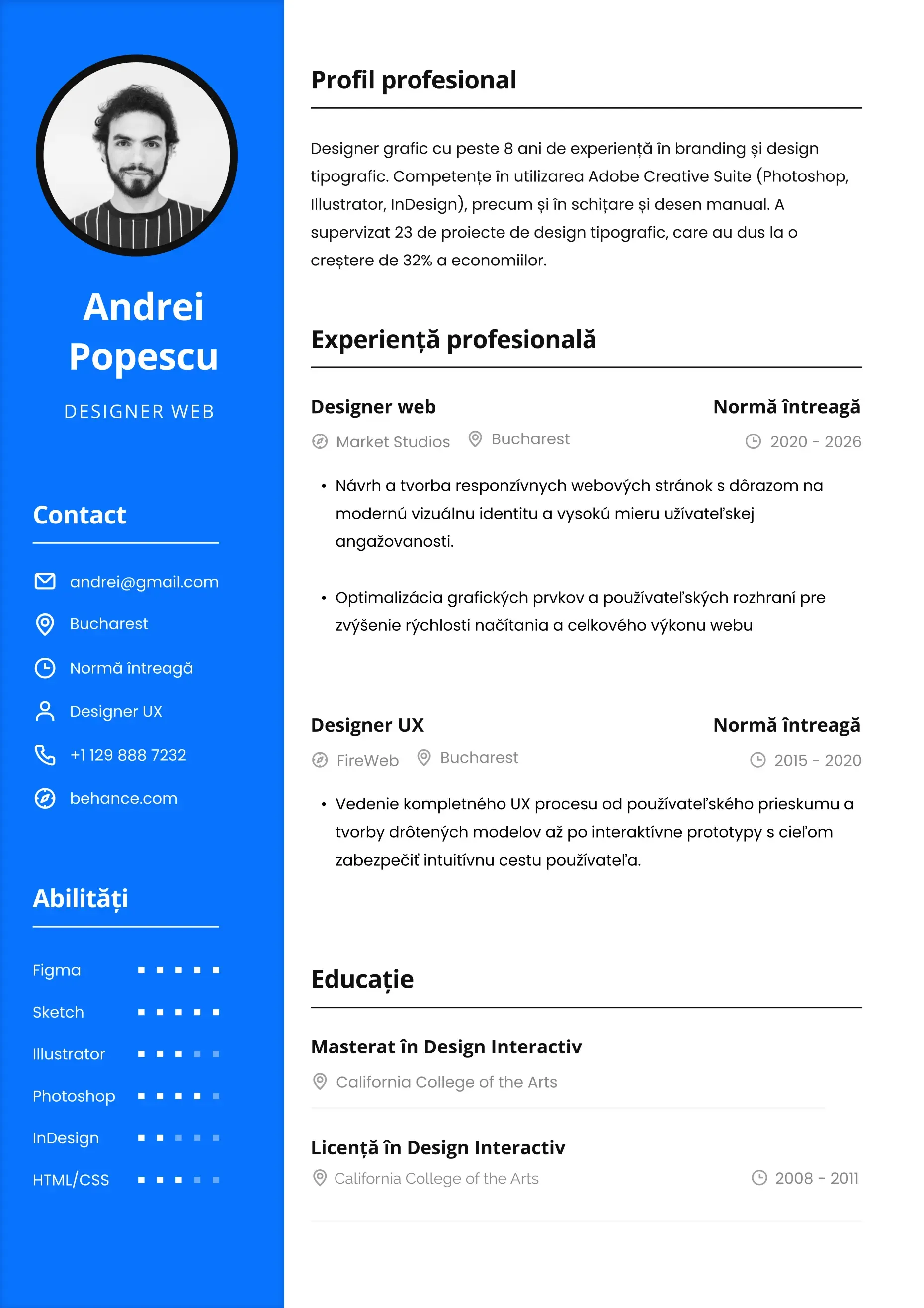 Șablon CV profesional pentru aplicarea la un loc de muncă